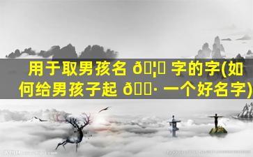 用于取男孩名 🦁 字的字(如何给男孩子起 🕷 一个好名字)
